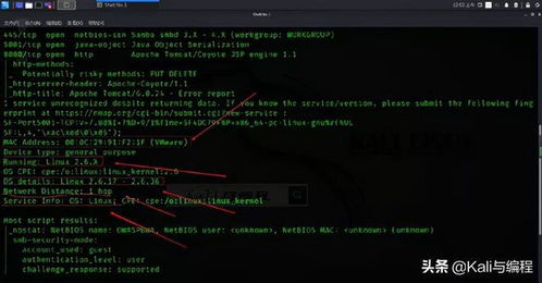 網(wǎng)絡(luò)安全工程師演示 白帽黑客如何用nmap探測(cè)計(jì)算機(jī)操作系統(tǒng)類(lèi)型